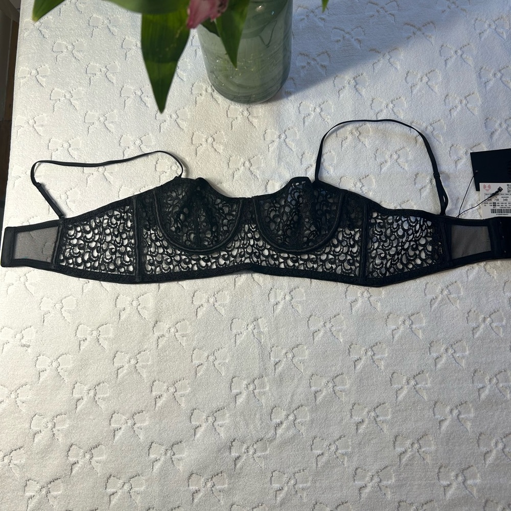 NWT Zara Guipure Underwire 34B
Brand new - Picture 2 of 5
